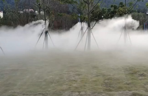 公园树林雾森
