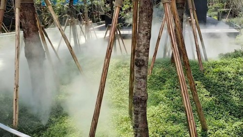 树林雾森效果图二